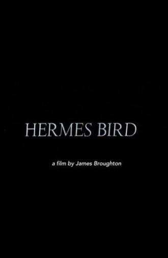 Hermes Bird (1979)