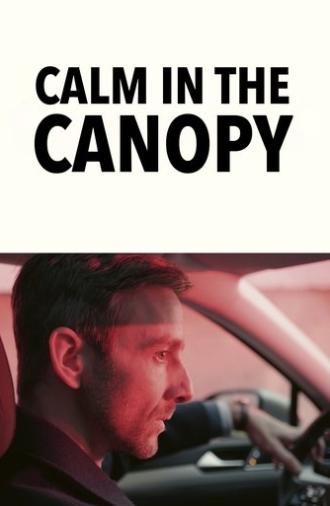 Calm in the Canopy (2024)