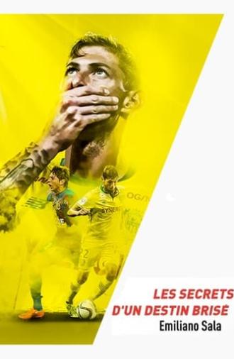 Emiliano Sala, les secrets d'un destin brisé (2019)