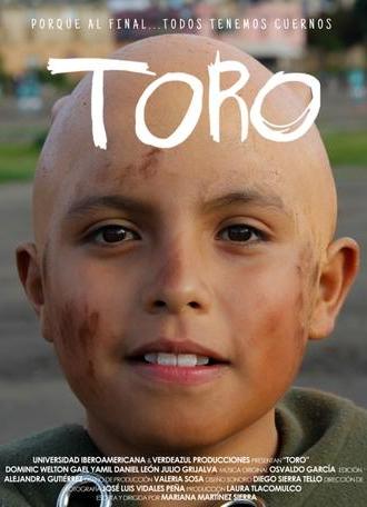 TORO (2019)