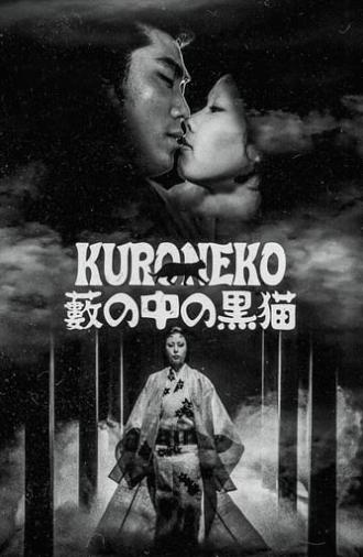 Kuroneko (1968)