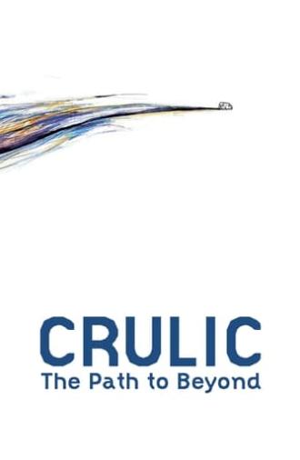 Crulic: The Path to Beyond (2011)