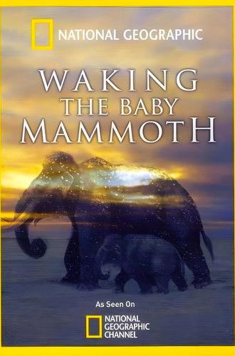 Waking the Baby Mammoth (2009)