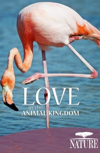 Nature: Love in the Animal Kingdom (2013)