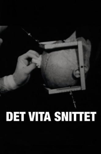 Det vita snittet (2010)