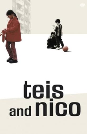 Theis and Nico (1999)