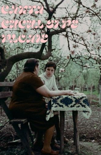The Cuckoo Still Sings When It Rains (1978)