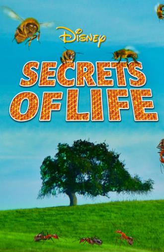 Secrets of Life (1956)