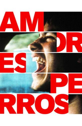 Amores Perros (2000)