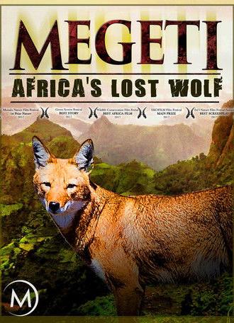 Megeti - Africa's Lost Wolf (2016)