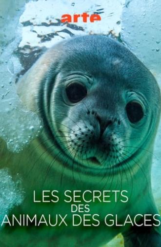 Les Secrets des Animaux des Glaces (2017)