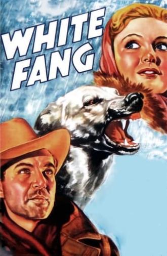 White Fang (1936)