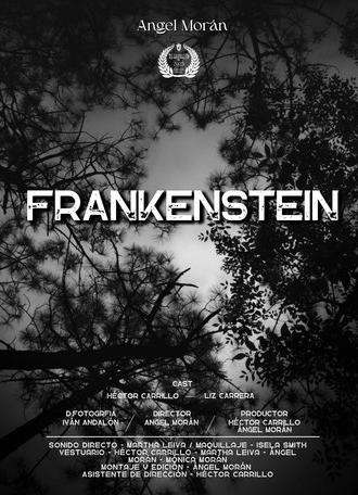 Frankenstein The Creature (2025)