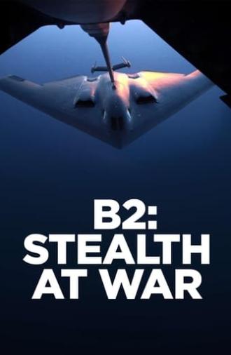 B2: Stealth at War (2013)