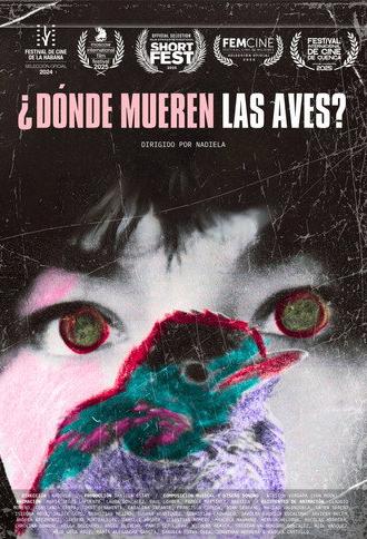 Where Do Birds Die? (2024)