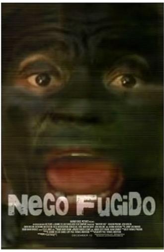 Nego Fugido (2009)