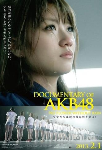 Documentary of AKB48 No Flower Without Rain (2013)