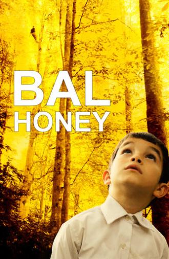 Honey (2010)