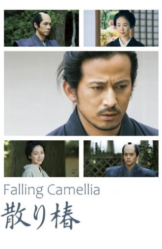 Falling Camellia (2018)