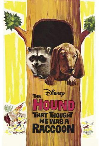 The Hound That Thought He Was a Raccoon (1960)