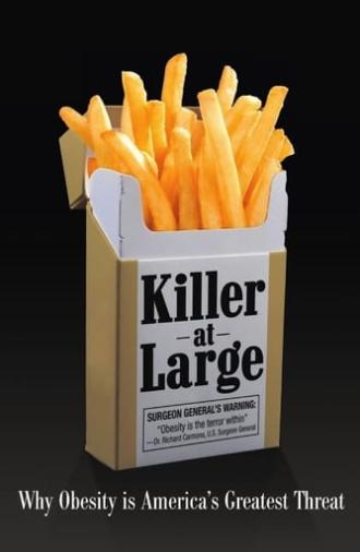 Killer at Large (2008)