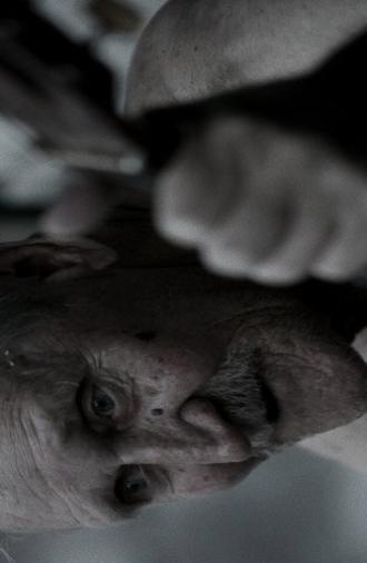 Black District Blues (2017)
