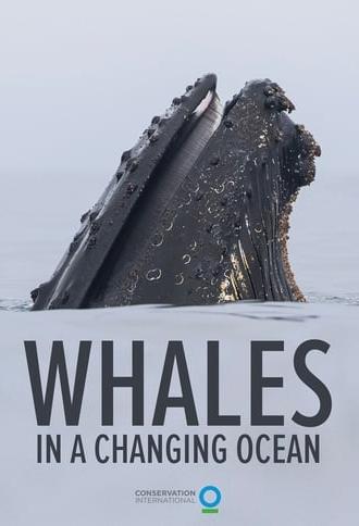Whales in a Changing Ocean (2021)