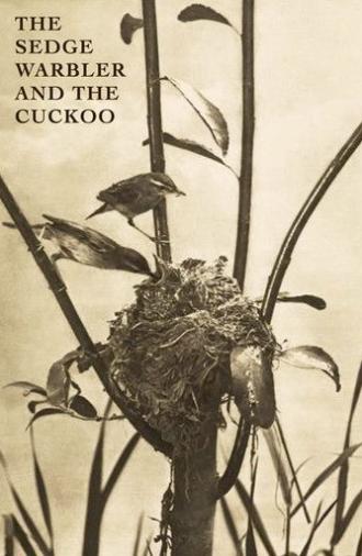 The Sedge Warbler and the Cuckoo (1911)