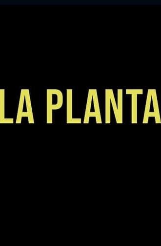 La Planta (2020)