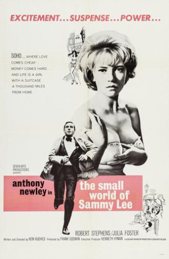 The Small World of Sammy Lee (1963)