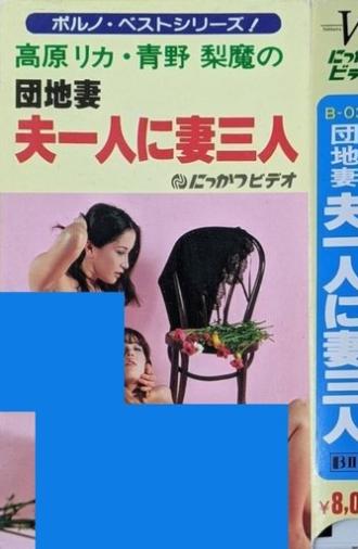 Apartment Wife: One Husband, Three Wives (1981)