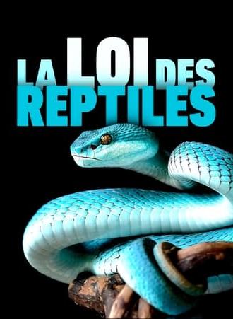 The Law of Reptiles (2017)