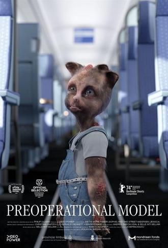 Preoperational Model (2024)