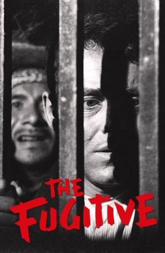 The Fugitive (1947)