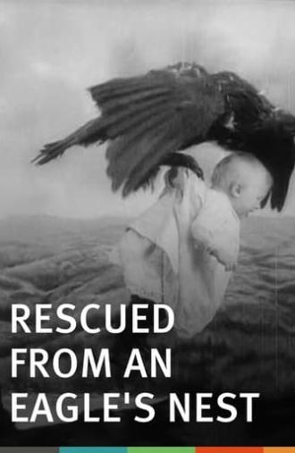 Rescued from an Eagle's Nest (1908)