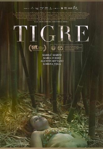 Tigre (2017)