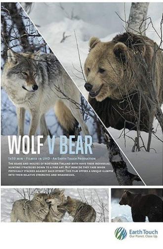 Wolf vs Bear (2019)