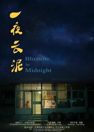 Blossom in Midnight (2015)