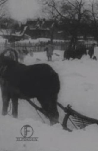 The Great Blizzard in the Baltics in December (1913)