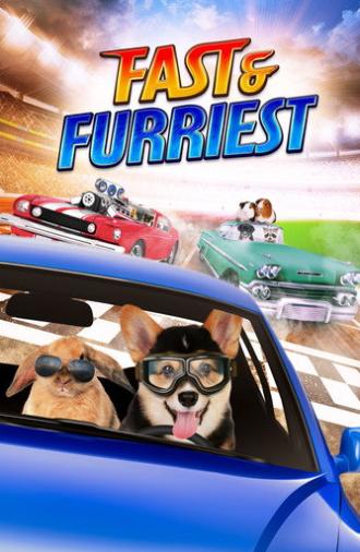 Fast and Furriest (2017)