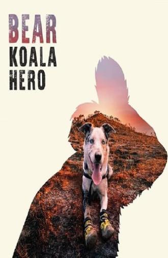 Bear: Koala Hero (2020)