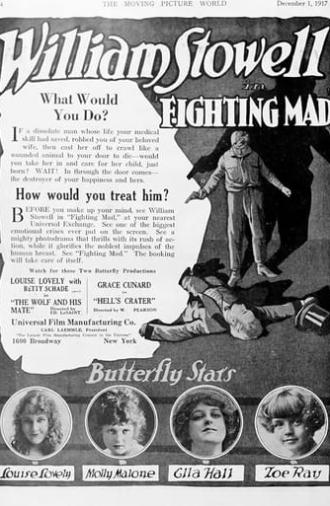 Fighting Mad (1917)