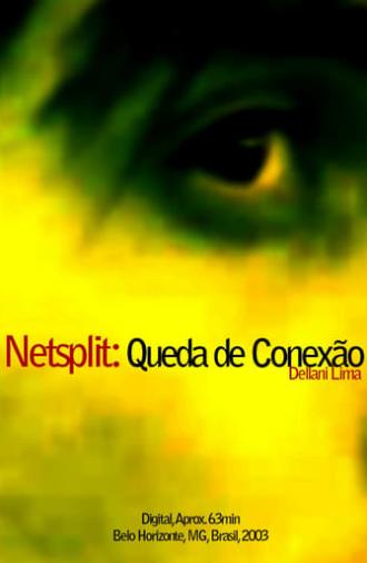 Netsplit: Queda de Conexão (2003)