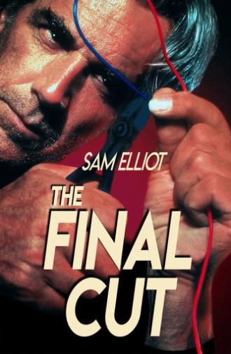 The Final Cut (1995)