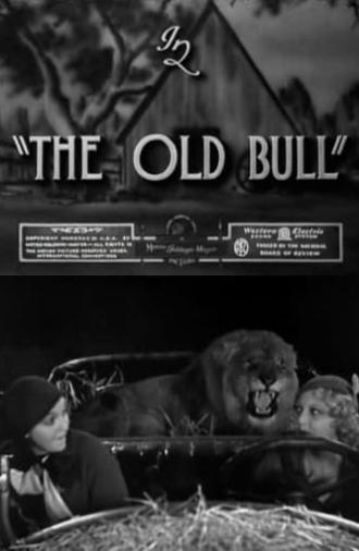 The Old Bull (1932)