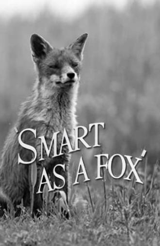 Smart as a Fox (1946)