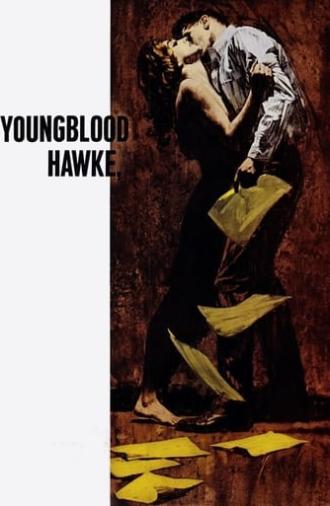 Youngblood Hawke (1964)