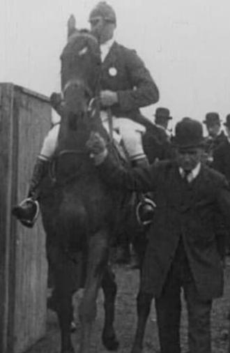 Aylesbury Hunt Steeplechases (1914)