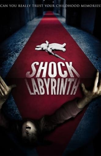 The Shock Labyrinth (2009)