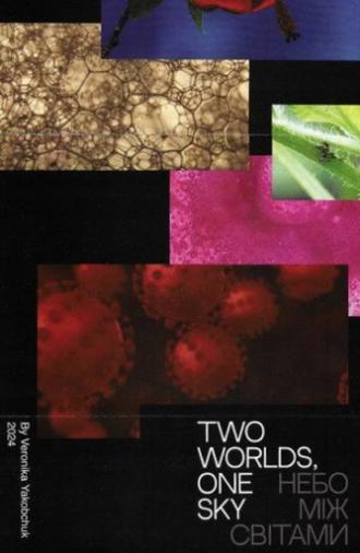 Two Worlds, One Sky (2025)